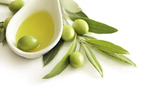 خواص برگ زیتون خیراندیش در طب سنتی برای پوست و مو و دیابت و لاغری