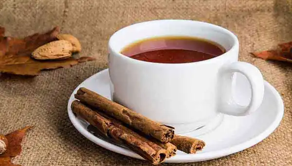 خواص چای دارچین خیراندیش در طب سنتی برای پوست و مو و دیابت و لاغری