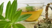 خواص دمنوش به لیمو خیراندیش در طب سنتی برای پوست و مو و دیابت و لاغری