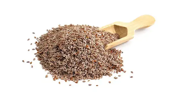 خواص اسفرزه خیراندیش در طب سنتی برای پوست و مو و دیابت و لاغری