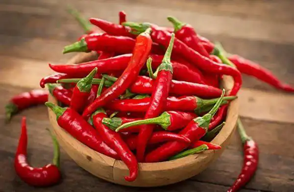 خواص فلفل قرمز خیراندیش در طب سنتی برای پوست و مو و دیابت و لاغری