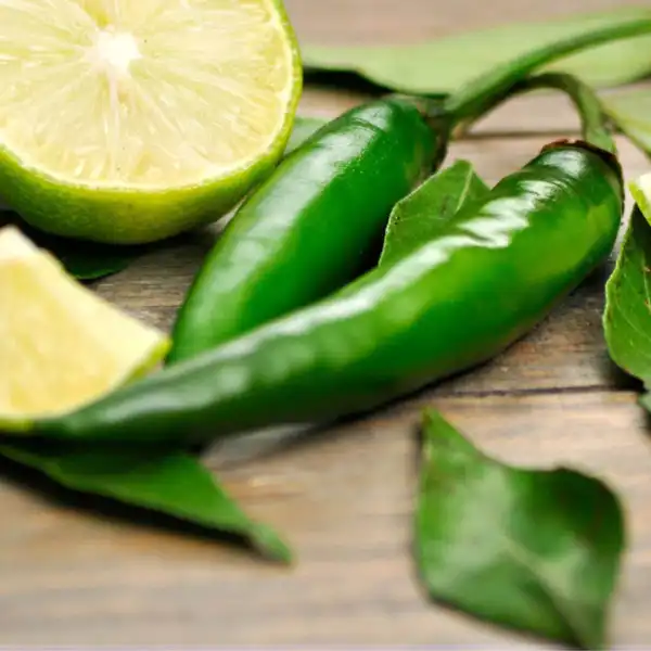 خواص فلفل سبز تند خیراندیش در طب سنتی برای پوست و مو و دیابت و لاغری