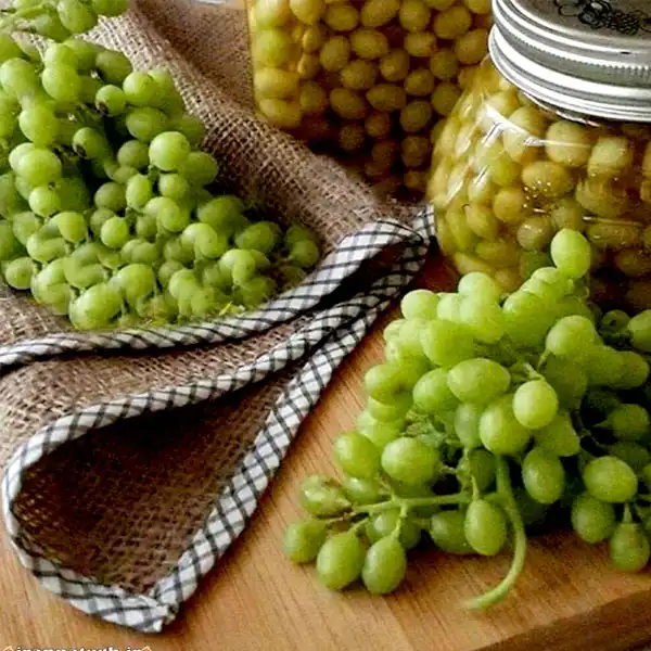 خواص غوره خیراندیش در طب سنتی برای پوست و مو و دیابت و لاغری