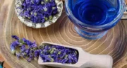 خواص گل گاوزبان خیراندیش در طب سنتی برای پوست و مو و دیابت و لاغری