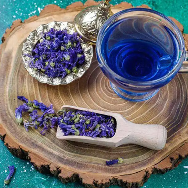 خواص گل گاوزبان خیراندیش در طب سنتی برای پوست و مو و دیابت و لاغری