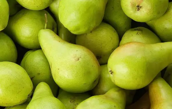 خواص گلابی خیراندیش در طب سنتی برای پوست و مو و دیابت و لاغری