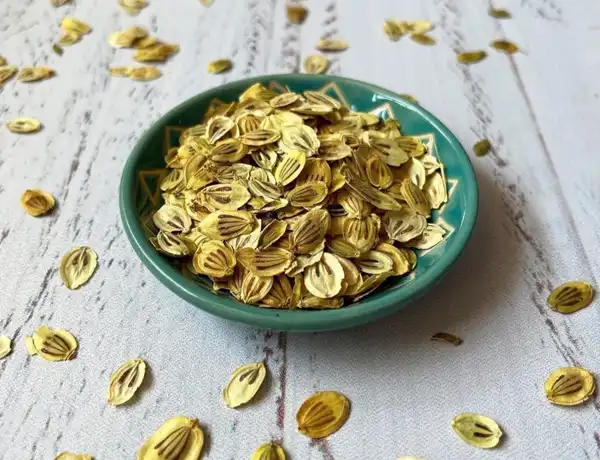 خواص گلپر خیراندیش در طب سنتی برای پوست و مو و دیابت و لاغری