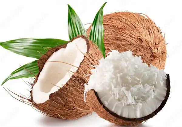 خواص گوشت نارگیل خیراندیش در طب سنتی برای پوست و مو و دیابت و لاغری