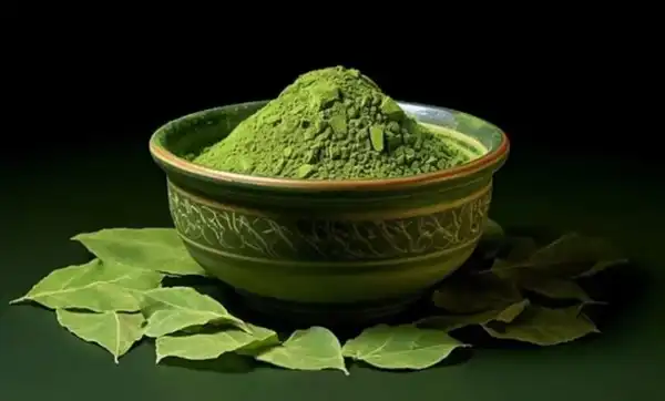 خواص حنا خیراندیش در طب سنتی برای پوست و مو و دیابت و لاغری