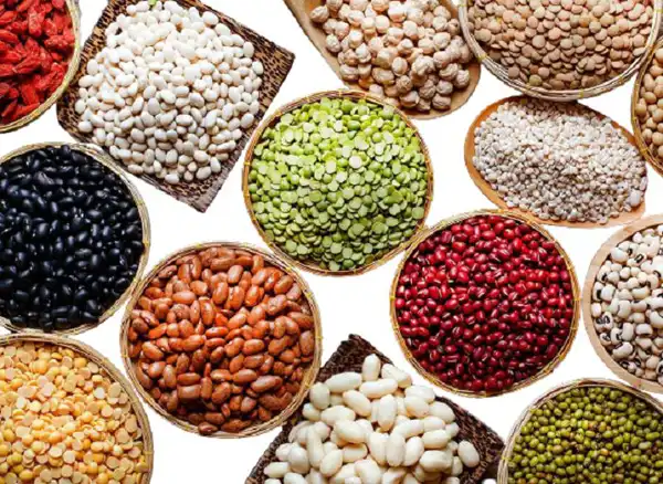 خواص حبوبات خیراندیش در طب سنتی برای پوست و مو و دیابت و لاغری