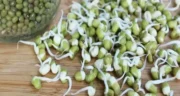 خواص جوانه ماش خیراندیش در طب سنتی برای پوست و مو و دیابت و لاغری
