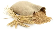 خواص جو خیراندیش در طب سنتی برای پوست و مو و دیابت و لاغری