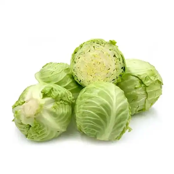 خواص کلم پیچ خیراندیش در طب سنتی برای پوست و مو و دیابت و لاغری