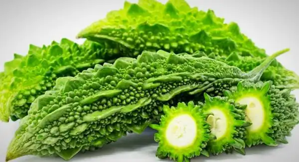 خواص خربزه تلخ خیراندیش در طب سنتی برای پوست و مو و دیابت و لاغری