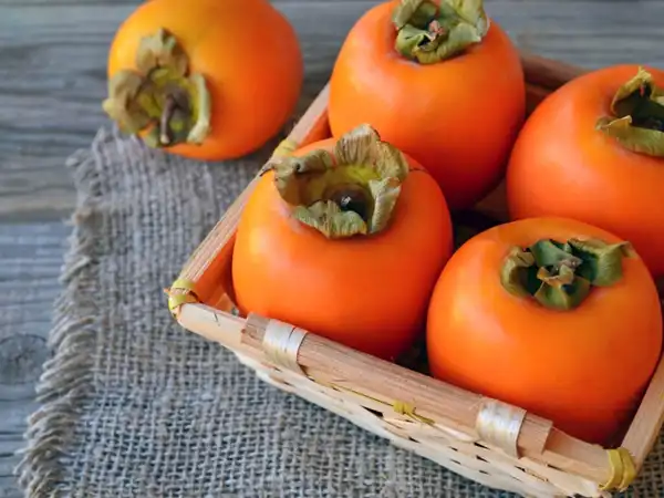 خواص خرمالو خیراندیش در طب سنتی برای پوست و مو و دیابت و لاغری