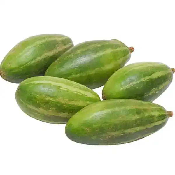 خواص کمبزه خیراندیش در طب سنتی برای پوست و مو و دیابت و لاغری