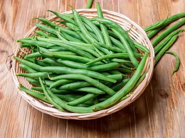 خواص لوبیا سبز خیراندیش در طب سنتی برای پوست و مو و دیابت و لاغری