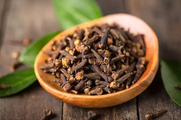 خواص میخک خیراندیش در طب سنتی برای پوست و مو و دیابت و لاغری