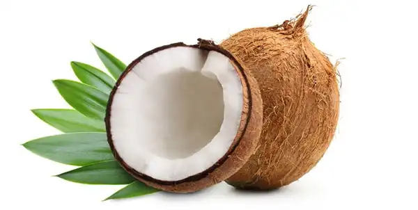 خواص نارگیل خیراندیش در طب سنتی برای پوست و مو و دیابت و لاغری