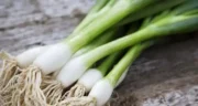 خواص پیازچه خیراندیش در طب سنتی برای پوست و مو و دیابت و لاغری