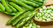 خواص پوست باقلا خیراندیش در طب سنتی برای پوست و مو و دیابت و لاغری