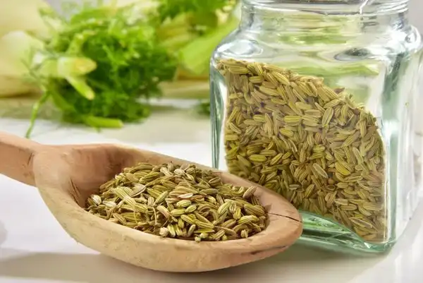 خواص رازیانه خیراندیش در طب سنتی برای پوست و مو و دیابت و لاغری