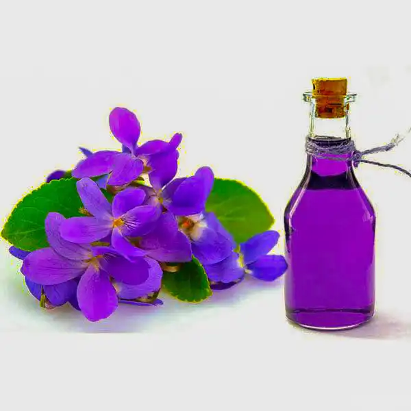 خواص روغن بنفشه خیراندیش در طب سنتی برای پوست و مو و دیابت و لاغری