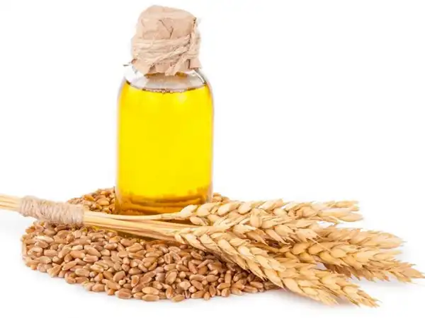 خواص روغن جوانه گندم خیراندیش در طب سنتی برای پوست و مو و دیابت و لاغری