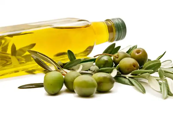 خواص روغن زیتون خیراندیش در طب سنتی برای پوست و مو و دیابت و لاغری