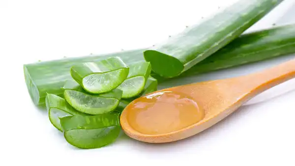 خواص صبر زرد خیراندیش در طب سنتی برای پوست و مو و دیابت و لاغری