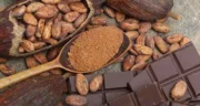 خواص شکلات خیراندیش در طب سنتی برای پوست و مو و دیابت و لاغری