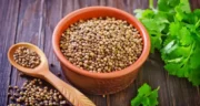 خواص تخم گشنیز خیراندیش در طب سنتی برای پوست و مو و دیابت و لاغری