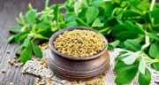 خواص تخم شنبلیله خیراندیش در طب سنتی برای پوست و مو و دیابت و لاغری