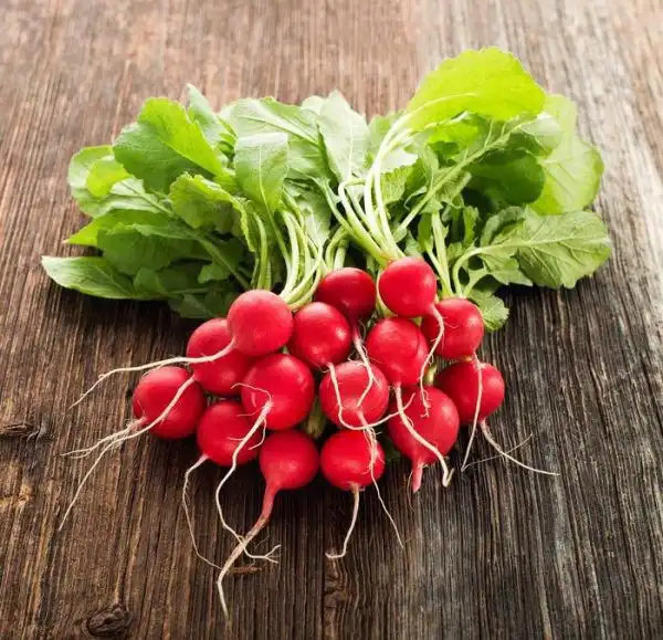 خواص تربچه خیراندیش در طب سنتی برای پوست و مو و دیابت و لاغری