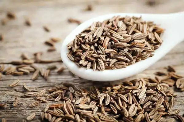 خواص زیره کوهی خیراندیش در طب سنتی برای پوست و مو و دیابت و لاغری