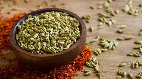 خواص زیره سبز خیراندیش در طب سنتی برای پوست و مو و دیابت و لاغری