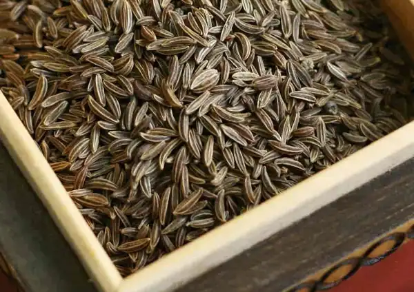 خواص زیره خیراندیش در طب سنتی برای پوست و مو و دیابت و لاغری
