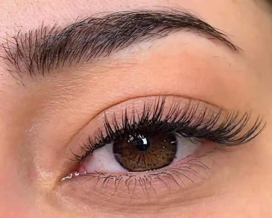 مژه بلند